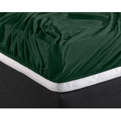 Faconlagen Double Jersey 220 gr. Straight Pack Botanical Green